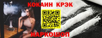 гашик Кингисепп