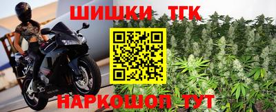гашик Кингисепп