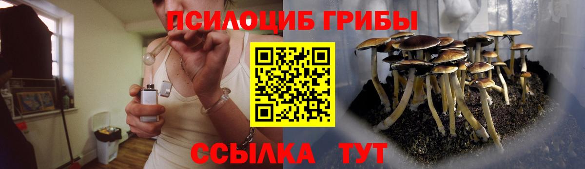 Галлюциногенные грибы Psilocybine cubensis Михайловка